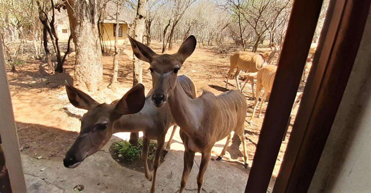 Kruger Private Lodge 玛洛斯帕克 外观 照片