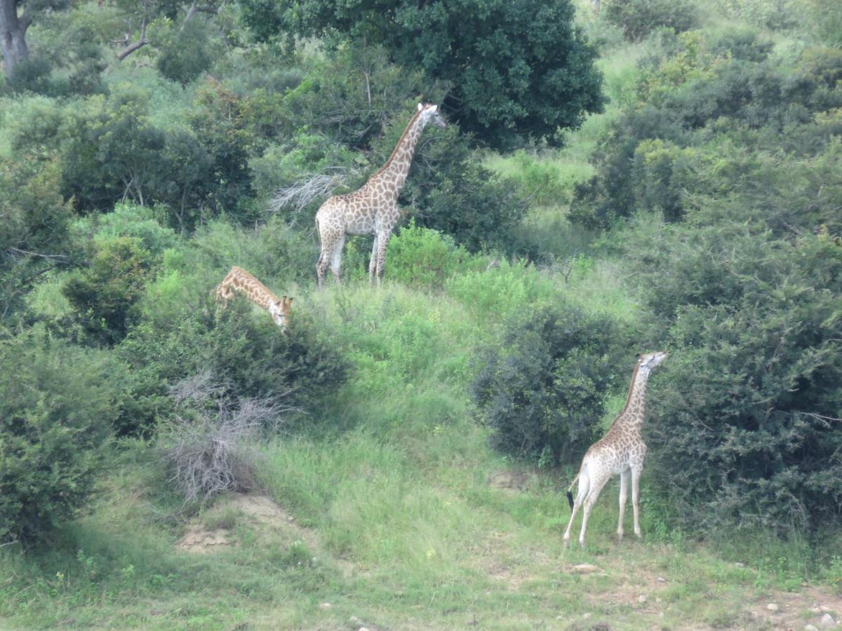 Kruger Private Lodge 玛洛斯帕克 外观 照片