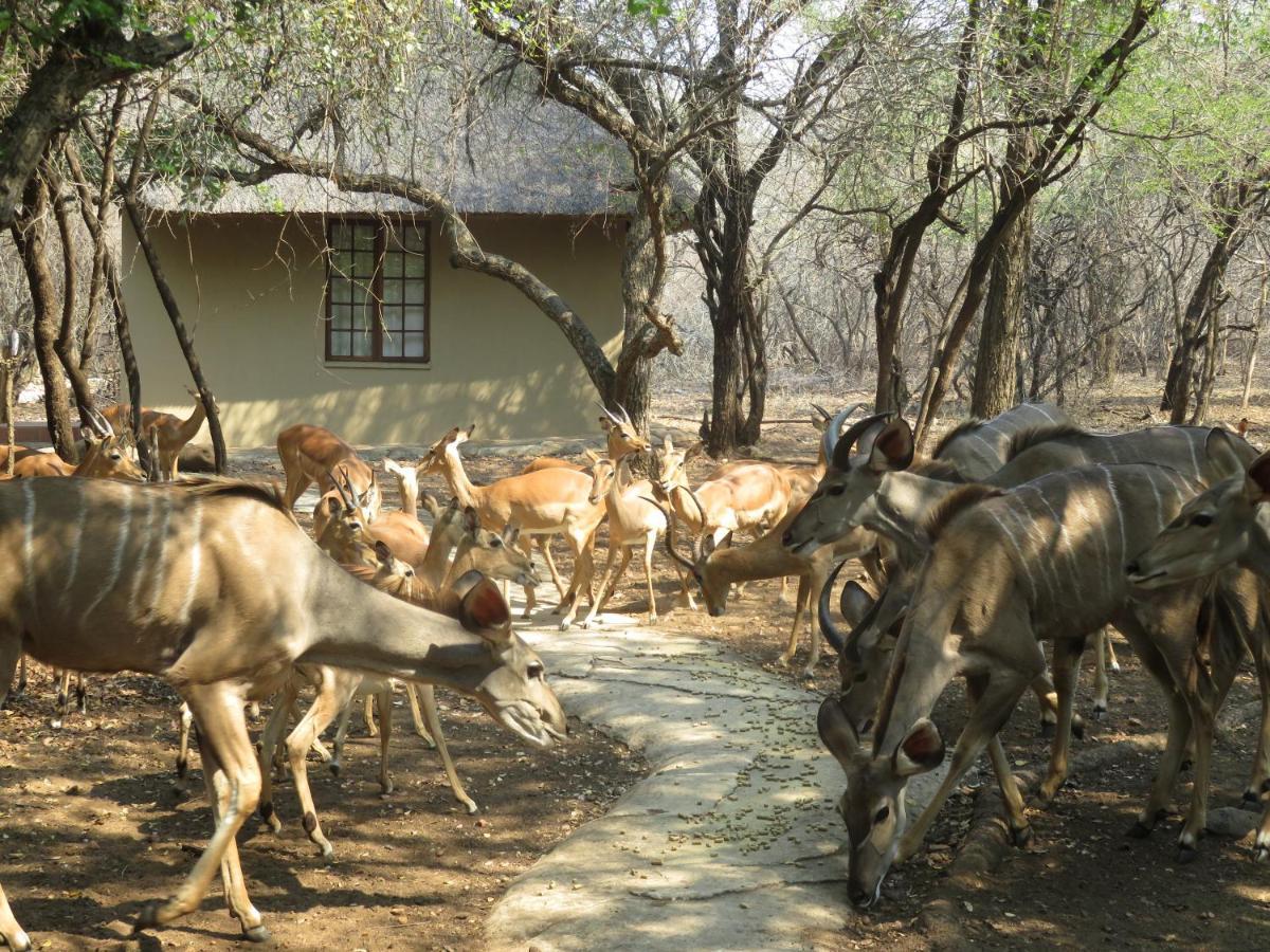 Kruger Private Lodge 玛洛斯帕克 外观 照片