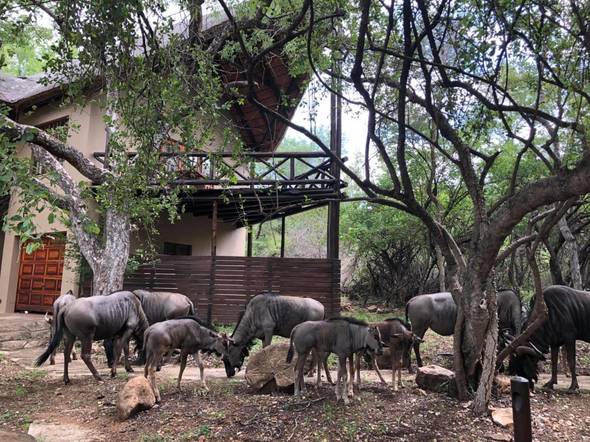 Kruger Private Lodge 玛洛斯帕克 外观 照片