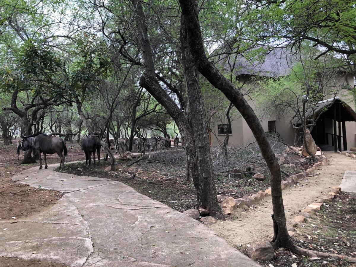 Kruger Private Lodge 玛洛斯帕克 外观 照片