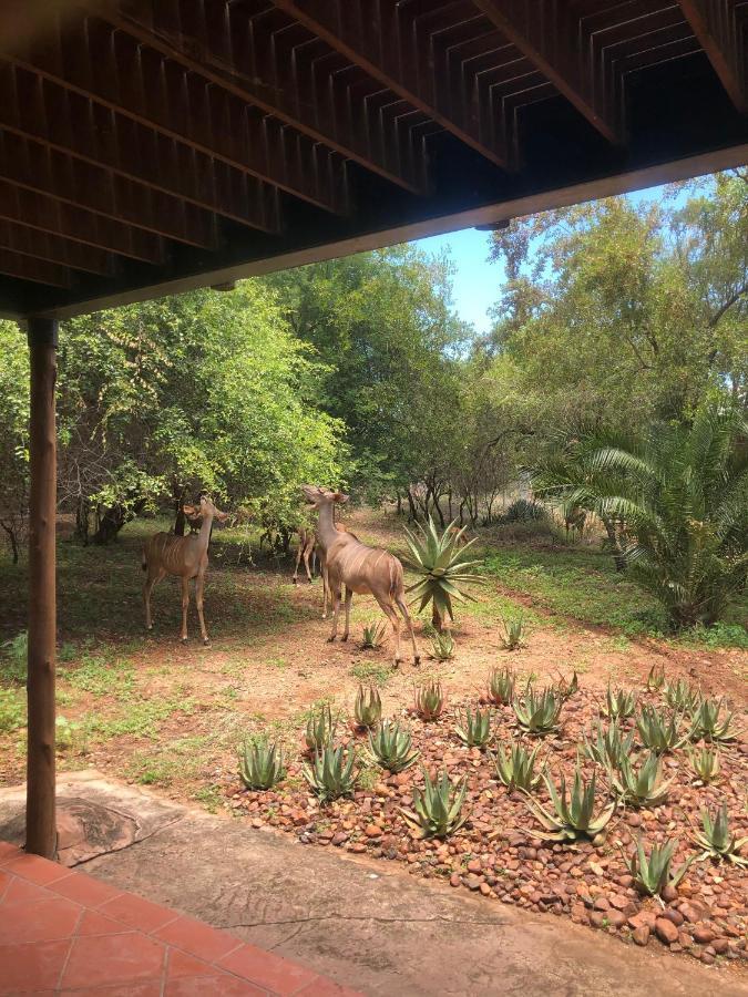 Kruger Private Lodge 玛洛斯帕克 外观 照片